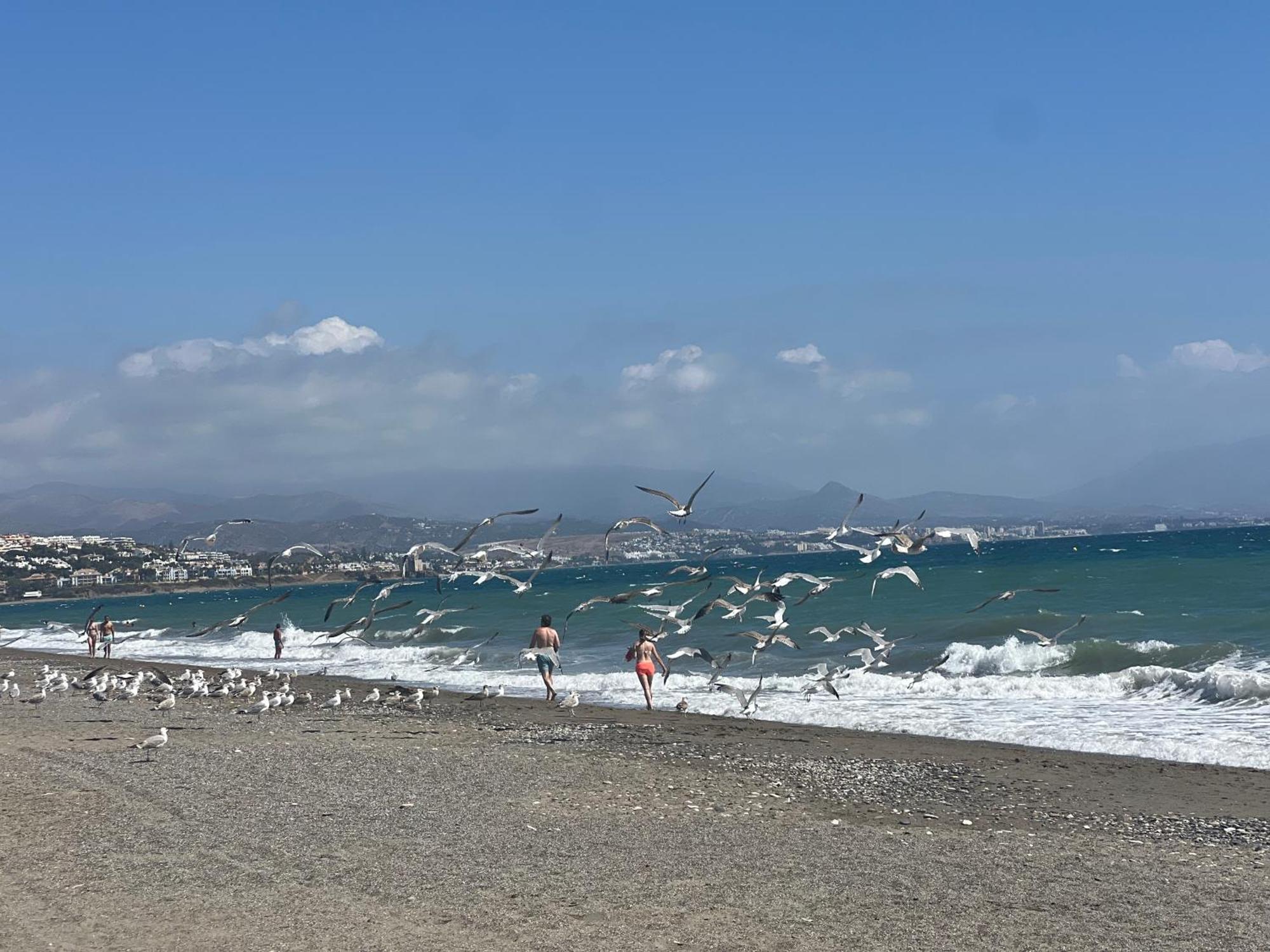 Puerto De La Duquesa Apartment Манилва Екстериор снимка